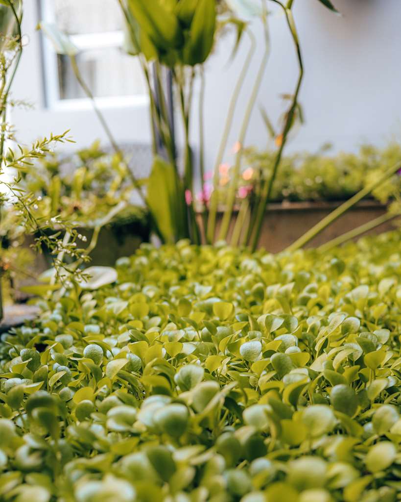 cloud 9 boutique hotel and spa