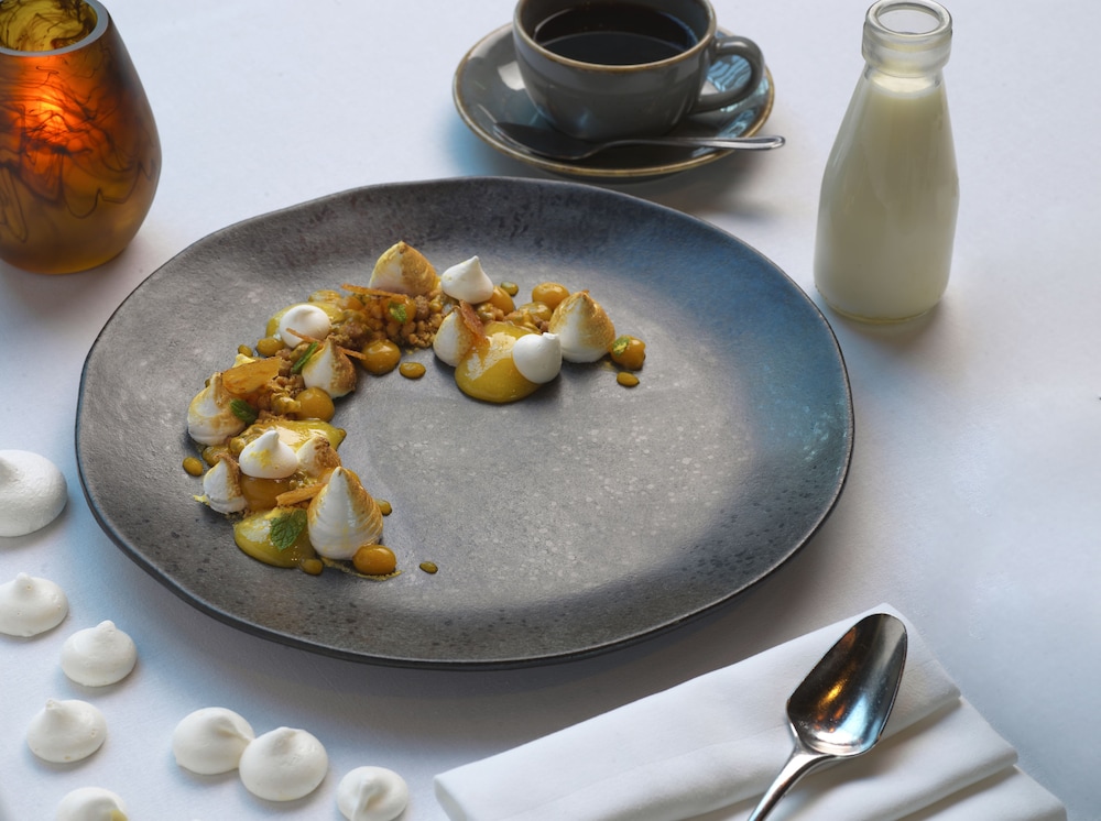 lyrath estate hotel spa and convention centre