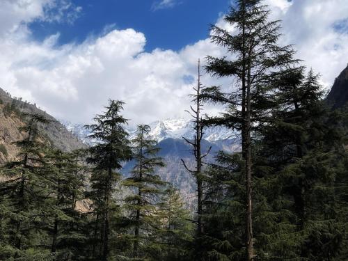 kasol