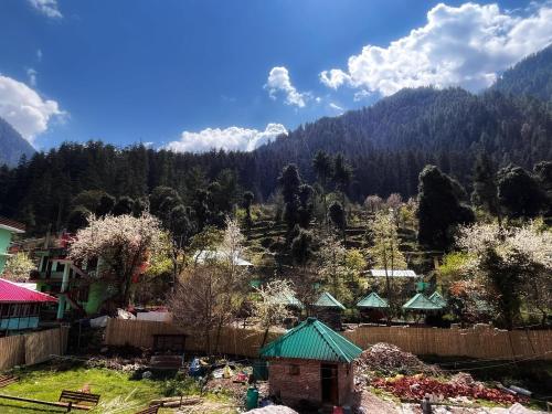 kasol