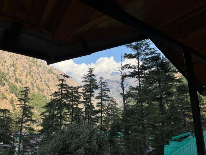 blue star homestay kasol