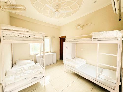 hotstel rishikesh tapovan