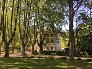 saint remy de provence