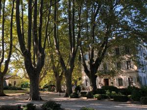 saint remy de provence