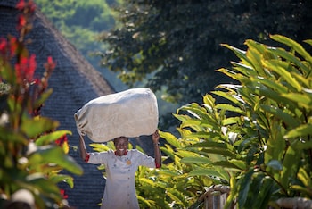 neptune ngorongoro luxury lodge