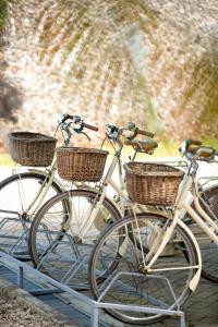 billionaire resort and retreat