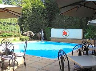 the african tulip hotel