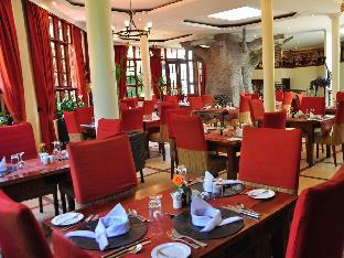 the african tulip hotel
