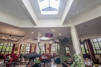 the african tulip hotel