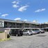 blue marlin inn and suites