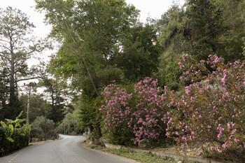 kemer