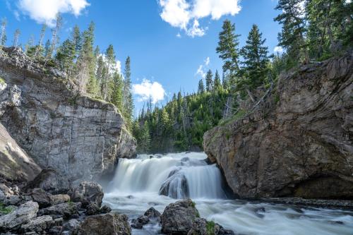 castle in the sky unit y