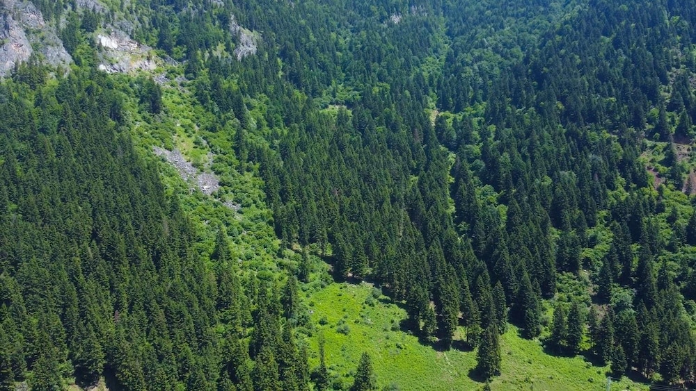 pazarcik mountain hotel