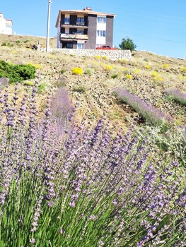 beyaz adalar atlihan apart otel