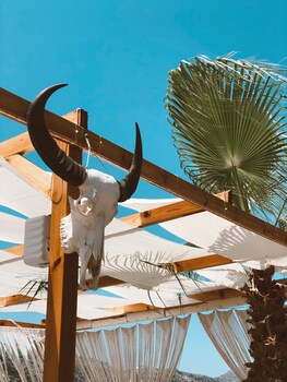 seyyah bozburun house