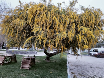 ionia liberty stone hotel