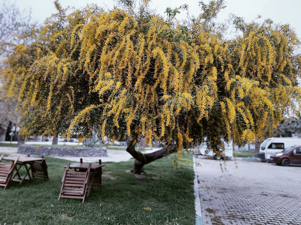 ionia liberty stone hotel