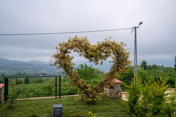 poison garden suite and spa