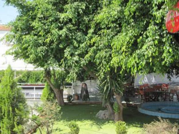 amazones villas apartments