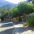 viannos