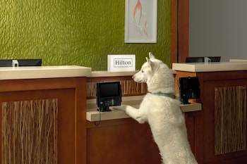 Hilton Garden Inn Cedar Falls,Cedar Falls>>Black Hawk County,3 star