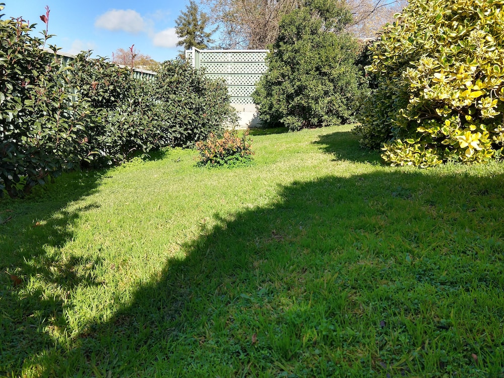 young goldrush motel