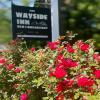 the wayside inn bed and breakfast