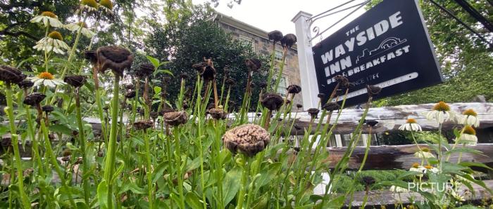 the wayside inn bed and breakfast