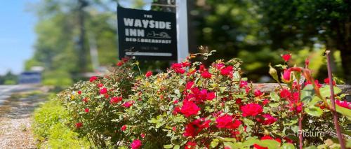 the wayside inn bed and breakfast