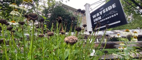 the wayside inn bed and breakfast
