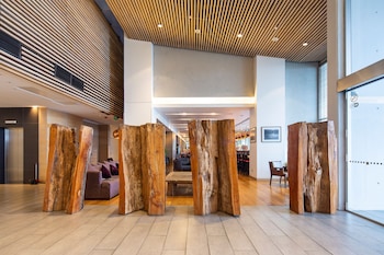 wyndham concepcion pettra