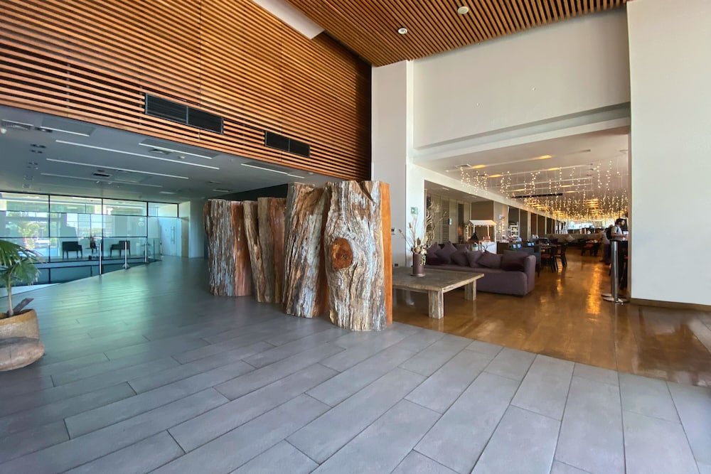 wyndham concepcion pettra