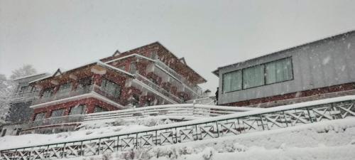 joshimath