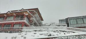 joshimath