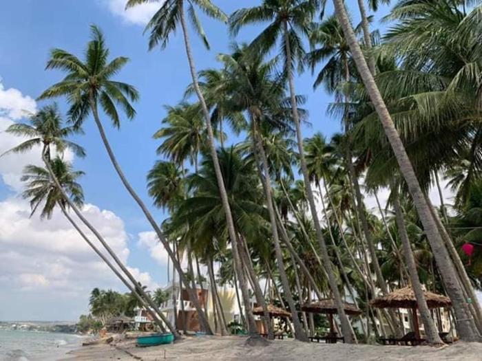 the legend coco beach