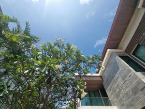 palmeraiebeach resort rayong