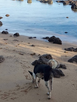 palmeraiebeach resort rayong