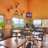 lone star inn and suites