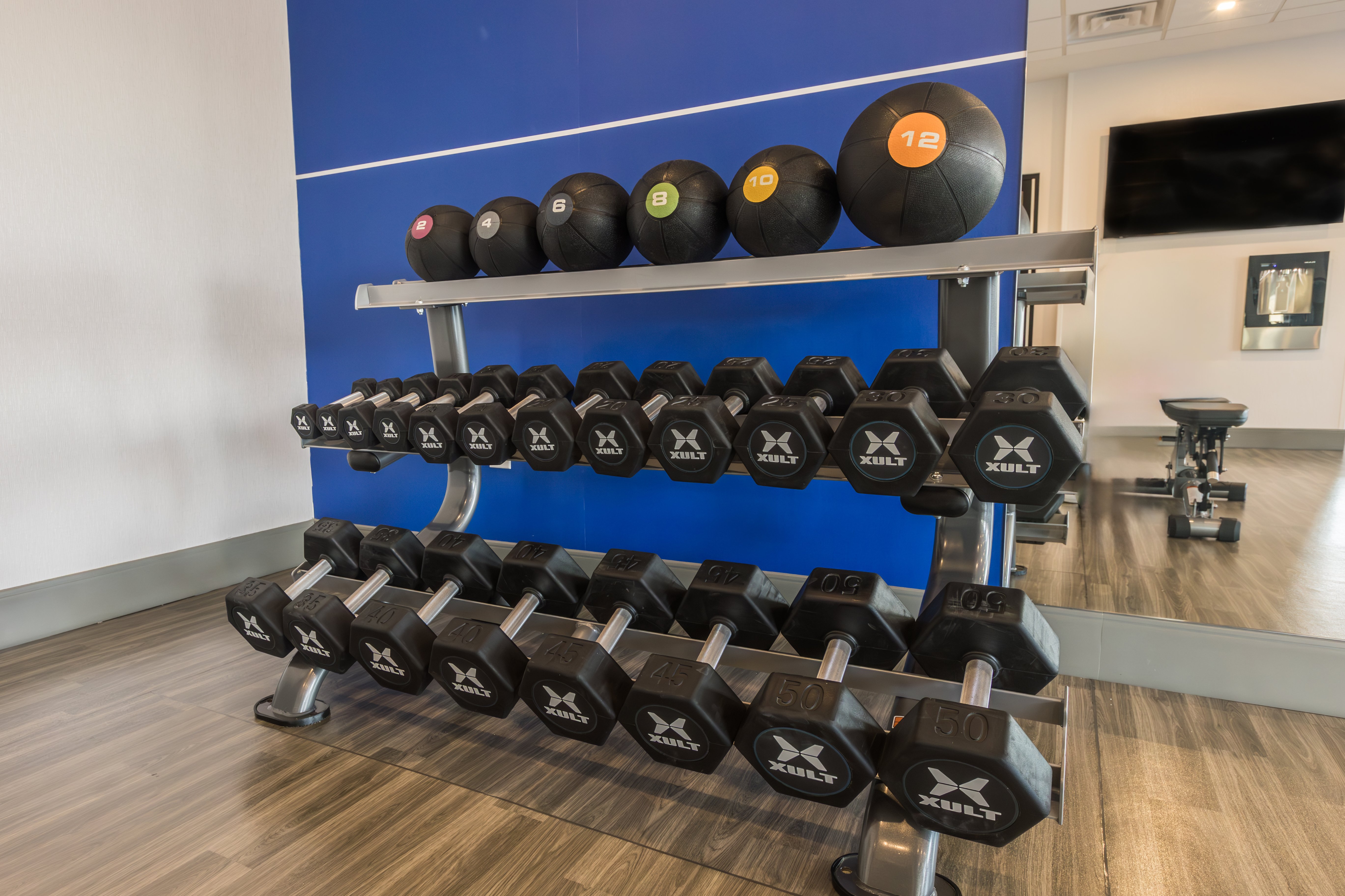 holiday inn express and suites toronto airport sou