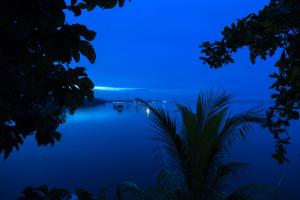 alleppey