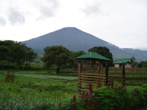 lembah rinjani villa and resto