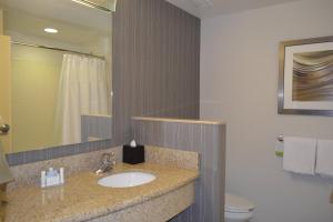 courtyard by marriott winchester