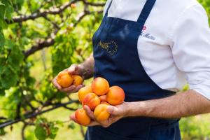 byblos art hotel villa amista