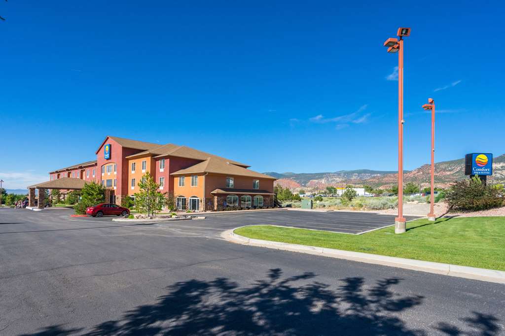comfort inn and suites
