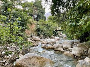 rishikesh
