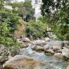 rishikesh