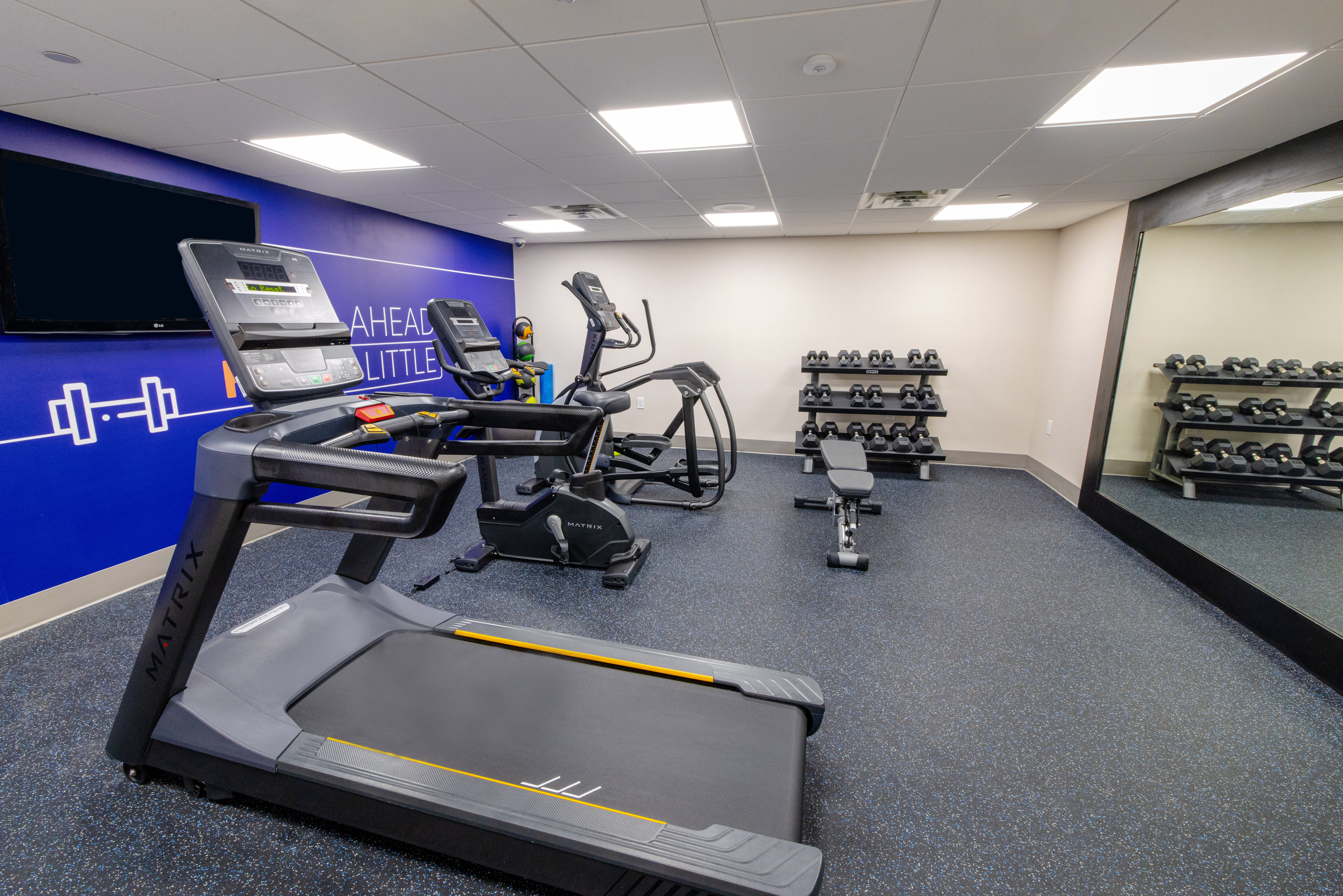 holiday inn express hotel of neptune by ihg