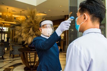 the avenue plaza hotel