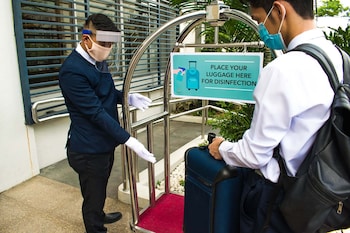 the avenue plaza hotel