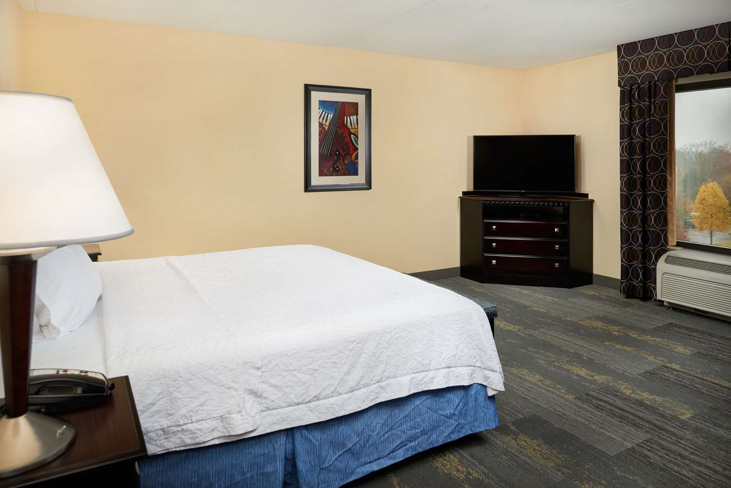 hampton inn and suites mt juliet
